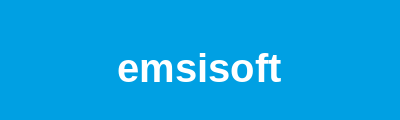 Exclusive Computer Consulting - Premium IT Solutions for Business